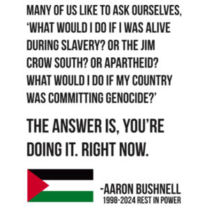 What would I do if my country was committing genocide? - Aaron Bushnell Design