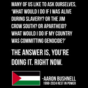 What would I do if my country was committing genocide? - Aaron Bushnell Design