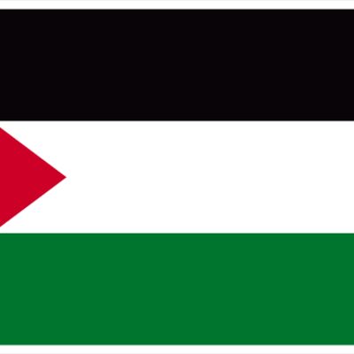 Palestine Flag for Black tees Thumbnail