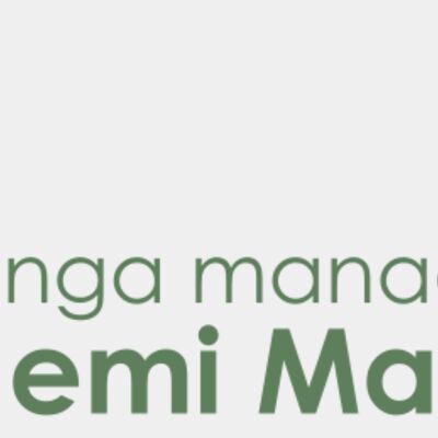 Hemi Matenga 2 Thumbnail